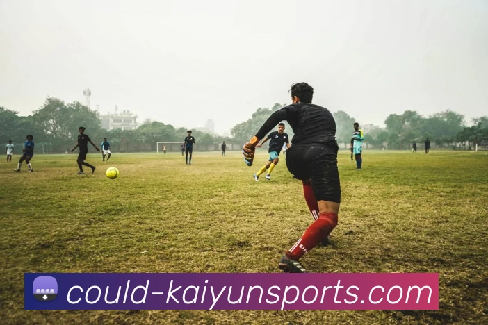 开云下载平台生态图